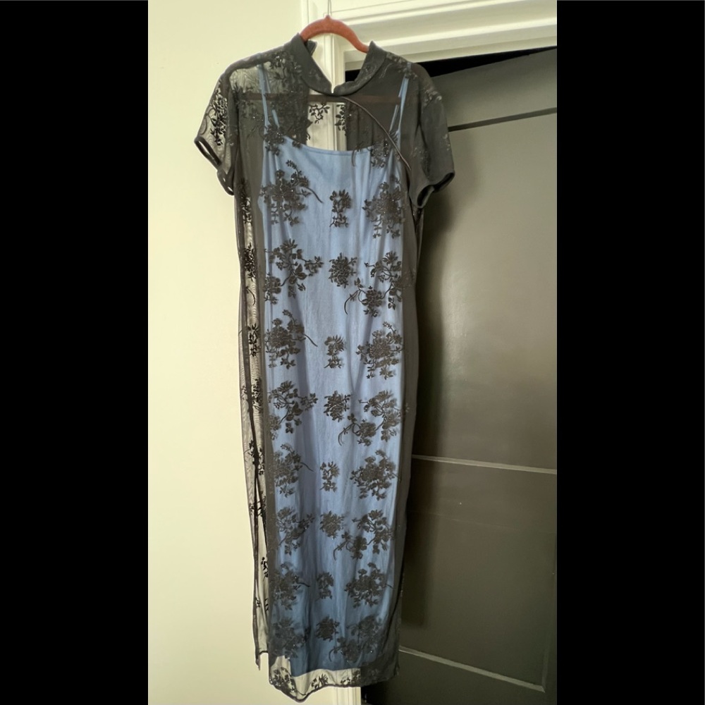 Beautiful long formal sheer dress.